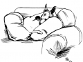 buddy sleeping